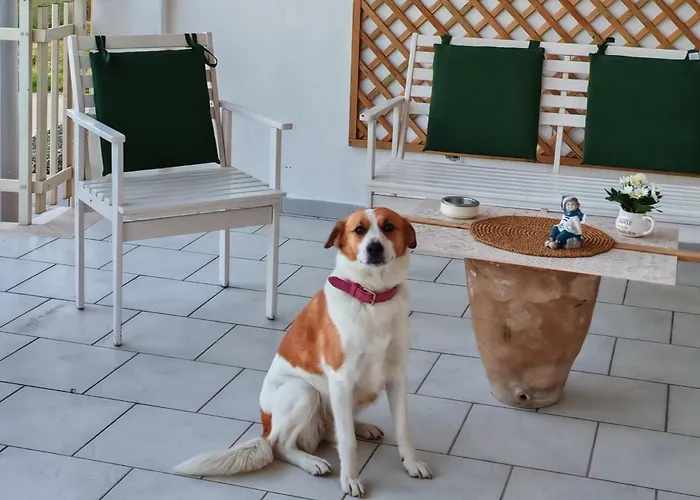 Rosanera&linus Manduria