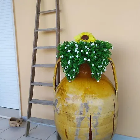 Rosanera&linus Hébergement de vacances *