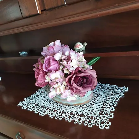 Hébergement de vacances Rosanera&linus