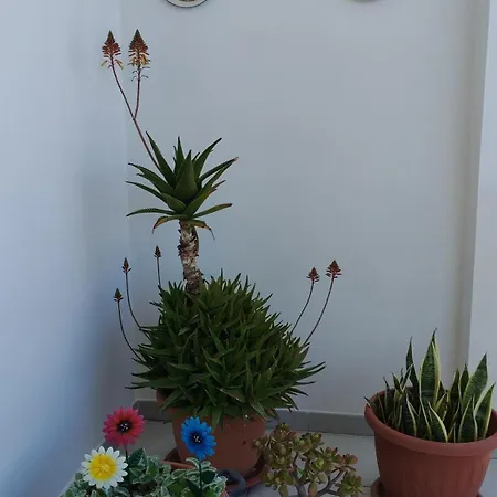 Rosanera&linus Casa de Férias Manduria