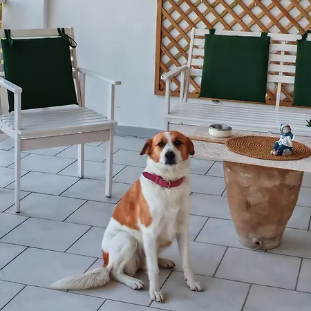 Rosanera&linus Manduria