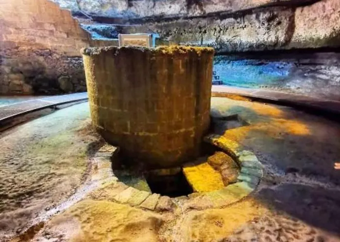 Nyaraló Rosanera&linus