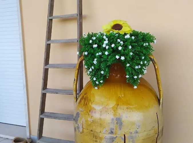 Rosanera&linus Casa de Férias *