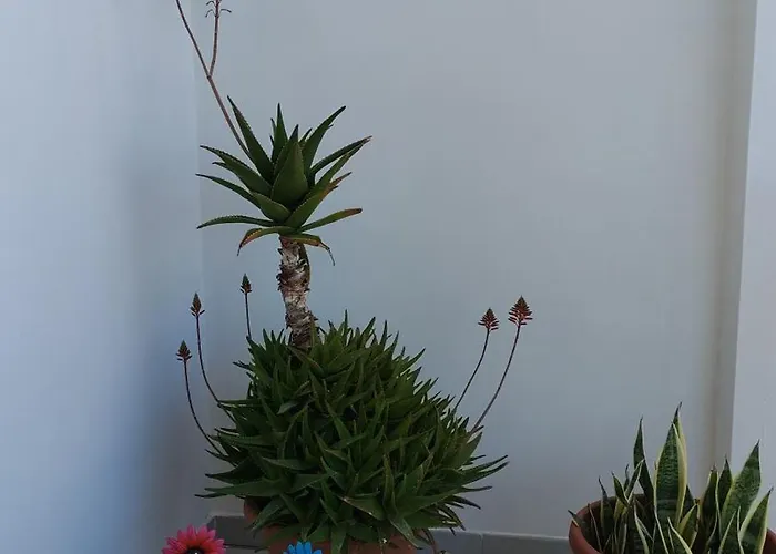 Rosanera&linus Casa de Férias Manduria